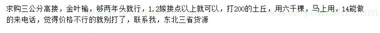 求購(gòu)3公分高接金葉榆