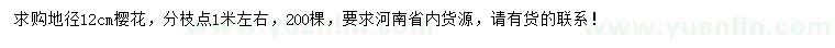 求購地徑12公分櫻花