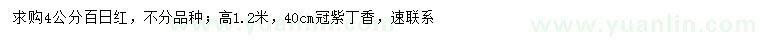 求購(gòu)4公分百日紅、高1.2米紫丁香