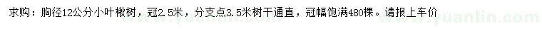 求購胸徑12公分小葉楸樹