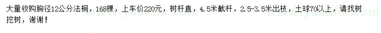 求購胸徑12公分法桐