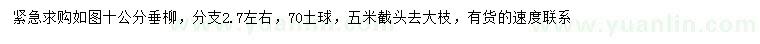 求購10公分垂柳