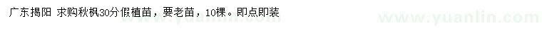 求購30公分秋楓假植苗