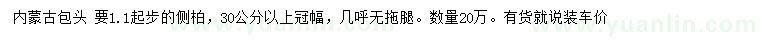求購(gòu)1.1米起步側(cè)柏
