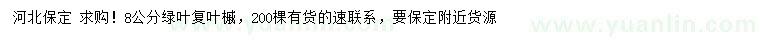 求購(gòu)8公分綠葉復(fù)葉槭