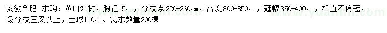 求購胸徑15公分黃山欒