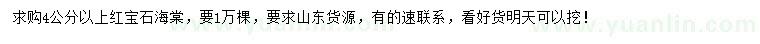 求購4公分以上紅寶石海棠