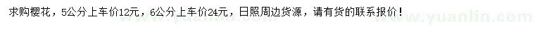 求購5、6公分櫻花