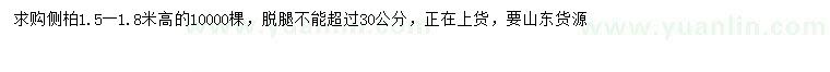 求購(gòu)高1.5-1.8米側(cè)柏