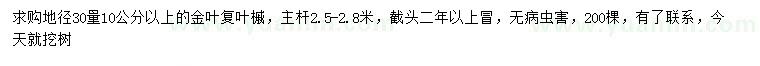 求購(gòu)地徑30量10公分以上金葉復(fù)葉槭
