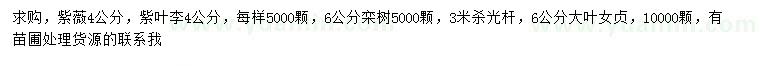 求購(gòu)紫薇、紫葉李、欒樹(shù)等