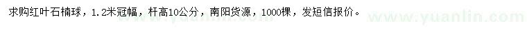 求購冠幅1.2米紅葉石楠球