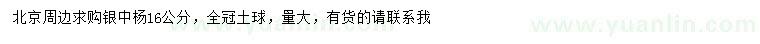 求購16公分銀中楊