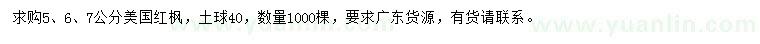 求購5、6、7公分美國紅楓