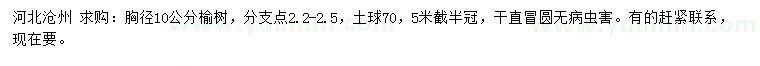 求購胸徑10公分榆樹