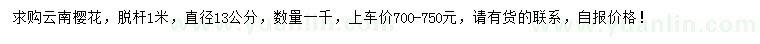求購(gòu)13公分云南櫻花