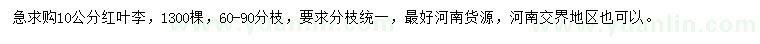 求購10公分紅葉李