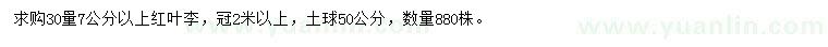 求購30量7公分以上紅葉李
