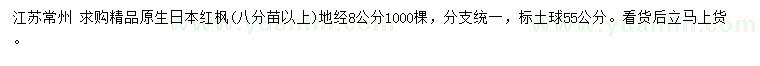 求購地徑8公分精品日本紅楓