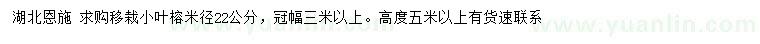 求購(gòu)米徑22公分小葉榕
