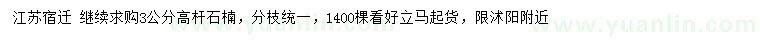 求購(gòu)3公分高桿石楠