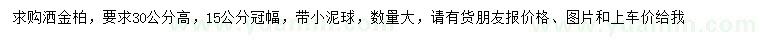 求購(gòu)高30公分灑金柏