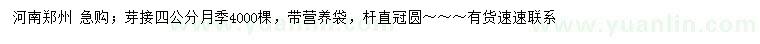 求購(gòu)4公分月季