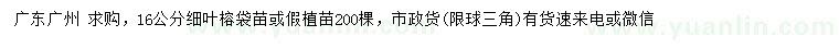 求購(gòu)16公分細(xì)葉榕袋苗或假植苗