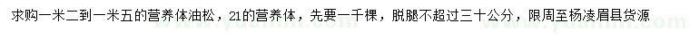 求購1.2-1.5米油松