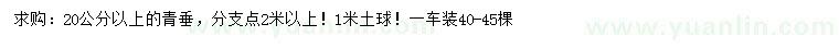 求購(gòu)20公分以上青垂