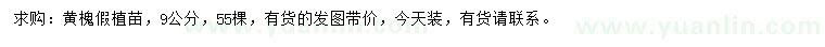 求購9公分黃槐假植苗