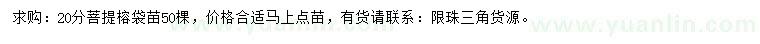 求購(gòu)20公分菩提榕