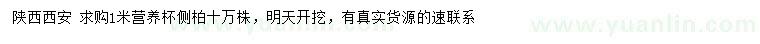 求購1米側(cè)柏