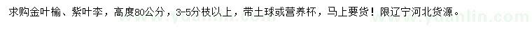 求購(gòu)高度80公分金葉榆、紫葉李
