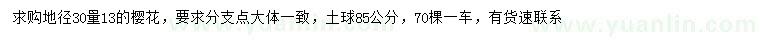 求購地徑30量13公分櫻花