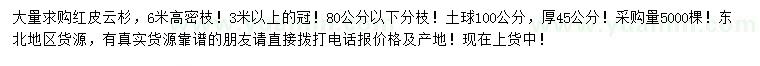 求購高6米紅皮云杉