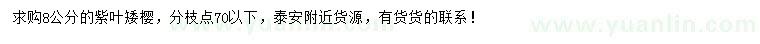 求購(gòu)8公分紫葉矮櫻