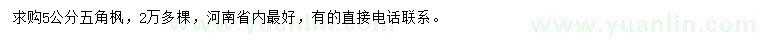 求購(gòu)5公分五角楓