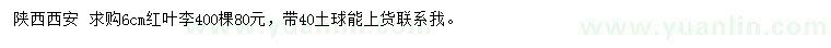 求購(gòu)6公分紅葉李