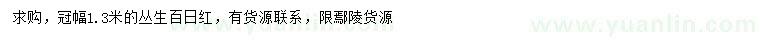 求購冠幅1.3米叢生百日紅