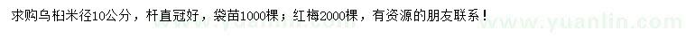 求購米徑10公分烏桕、紅梅