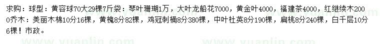 求購(gòu)黃榕球、琴葉珊瑚、大葉龍船花等