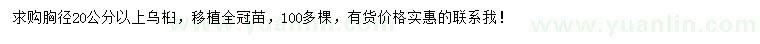 求購(gòu)胸徑20公分以上烏桕