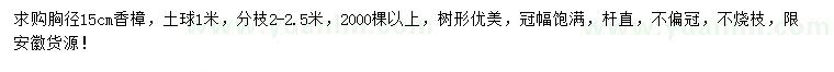 求購胸徑15公分香樟