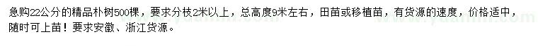 求購22公分樸樹