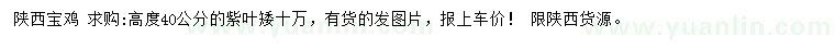 求購高度40公分紫葉矮
