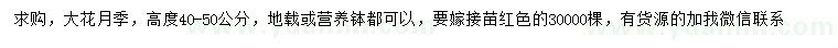 求購高度40-50公分大花月季