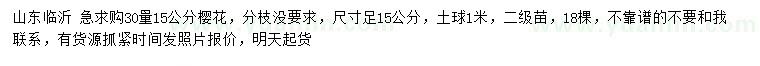 求購30量15公分櫻花