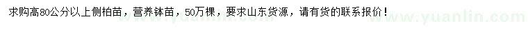 求購高80公分以上側(cè)柏苗