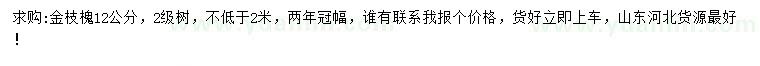 求購12公分金枝槐